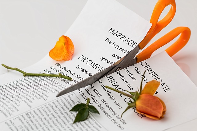 LA Divorce Bankruptcy Help
